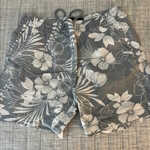 Aeropostale Gray and White Flat Front Shorts